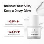 SHANGPREE AA MOISTURIZER