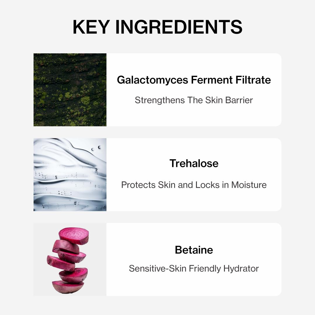 SHANGPREE AA WATER TONER